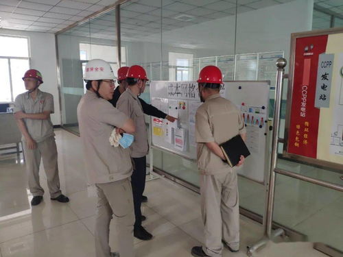 聚焦降本增效 深化網(wǎng)格管理——集團(tuán)公司領(lǐng)導(dǎo)蒞臨我廠調(diào)研指導(dǎo)廣告業(yè)務(wù)專項(xiàng)工作